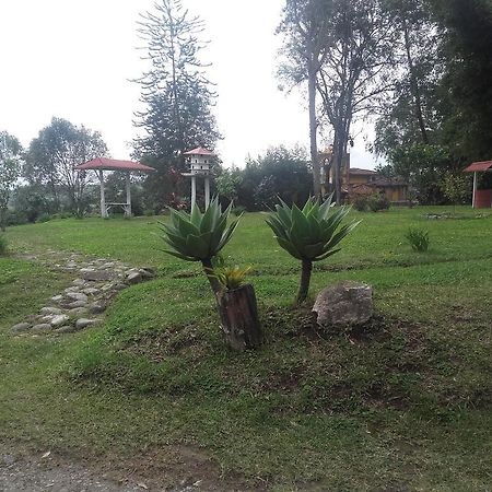 Bed and Breakfast La Gaviota Bnb Filandia Exteriér fotografie
