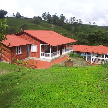 Bed and Breakfast La Gaviota Bnb Filandia Exteriér fotografie