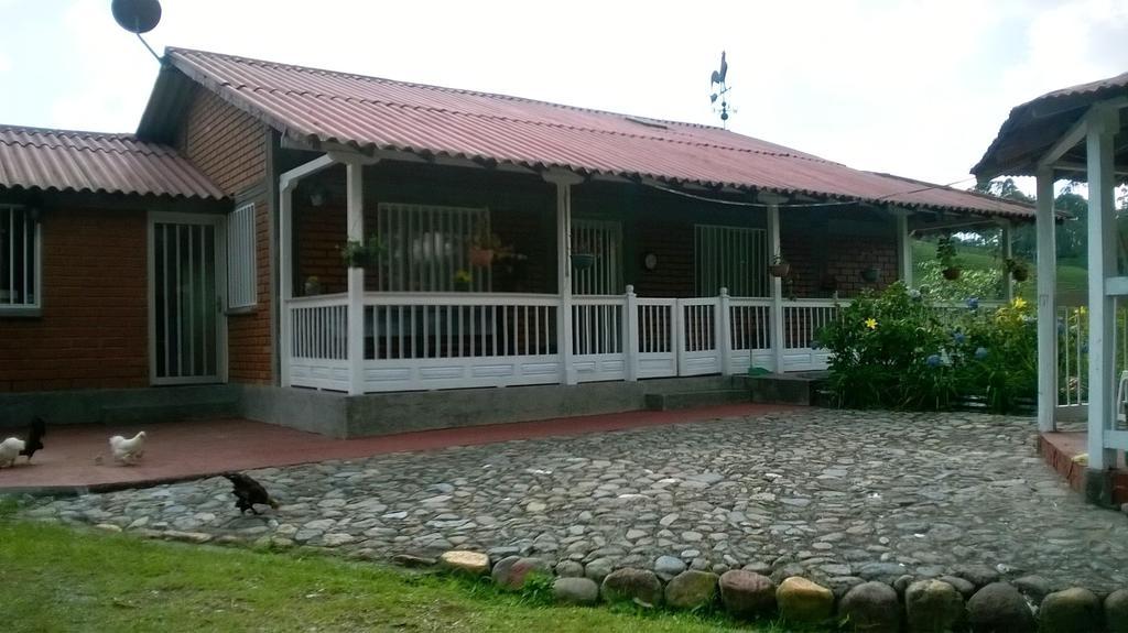 Bed and Breakfast La Gaviota Bnb Filandia Exteriér fotografie