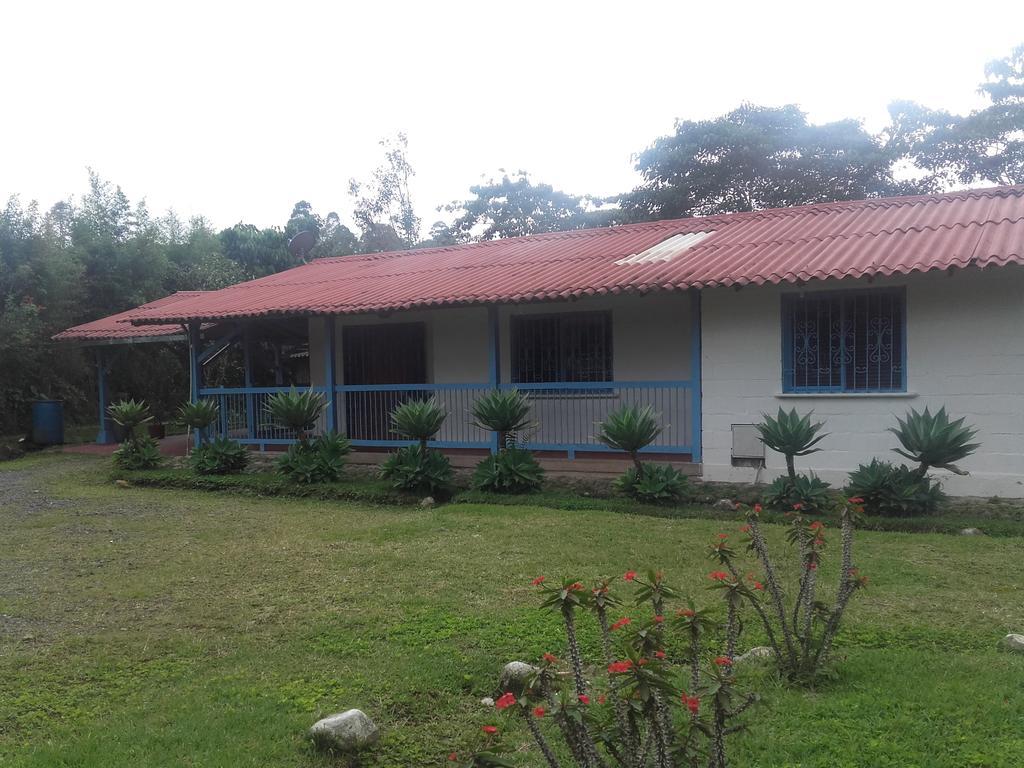 Bed and Breakfast La Gaviota Bnb Filandia Exteriér fotografie