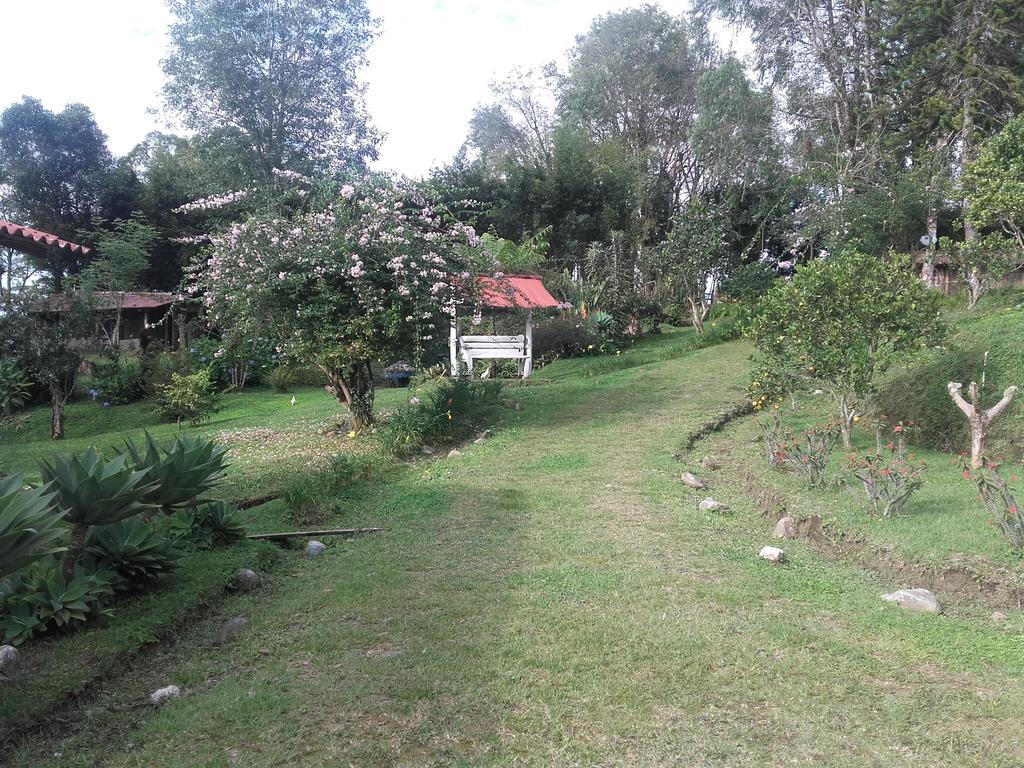 Bed and Breakfast La Gaviota Bnb Filandia Exteriér fotografie